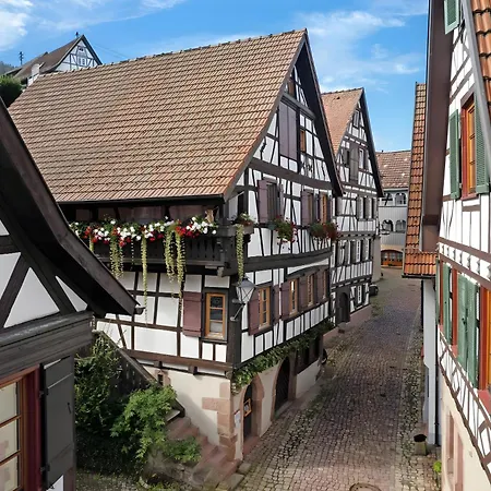 Im Strumpfweberhaus Apartman *